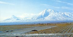 ararat